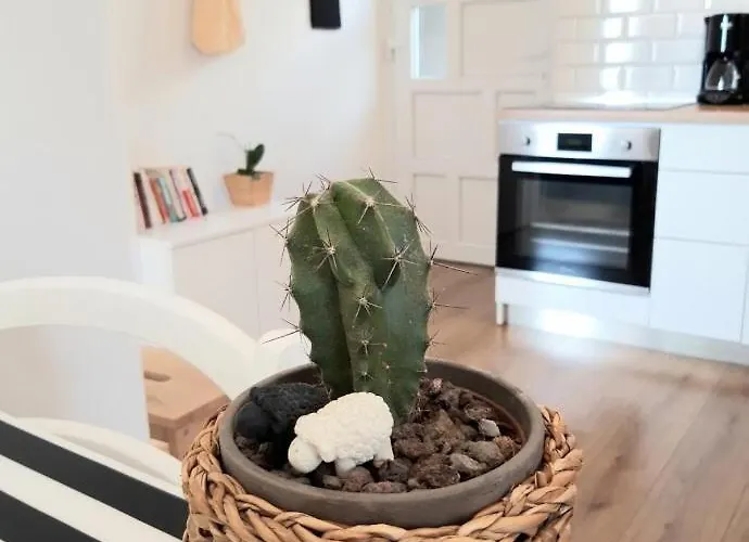 Апартаменты Max,free Parking